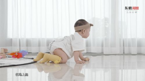 東鵬瓷磚再上央視 一平米一防,磚衛中國家庭