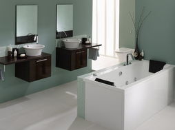 衛(wèi)浴行業(yè)市場(chǎng)呈現(xiàn)三大熱點(diǎn) 走向理性 水暖潔具